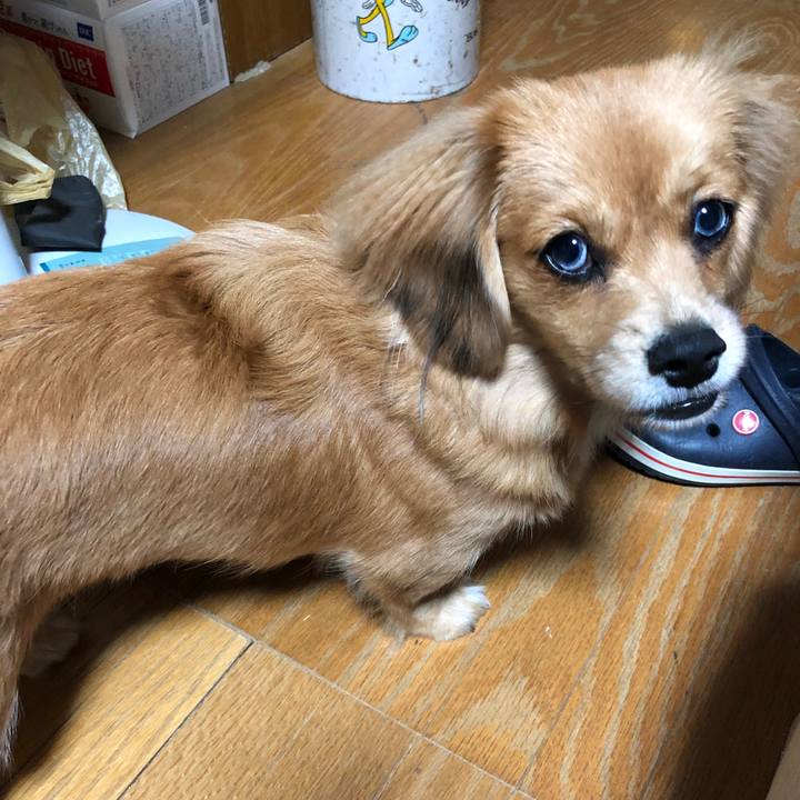 B0bfe6f2 781c 48ac bb93 a67895fd7060 1507932522990