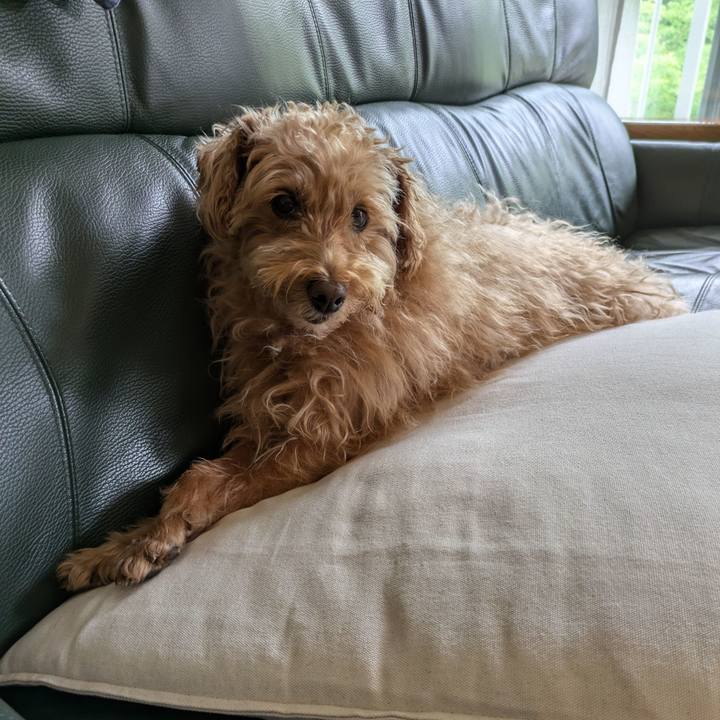 B0c01dad 940a 49c3 abb5 d14b47ee5fe8 1723674737428