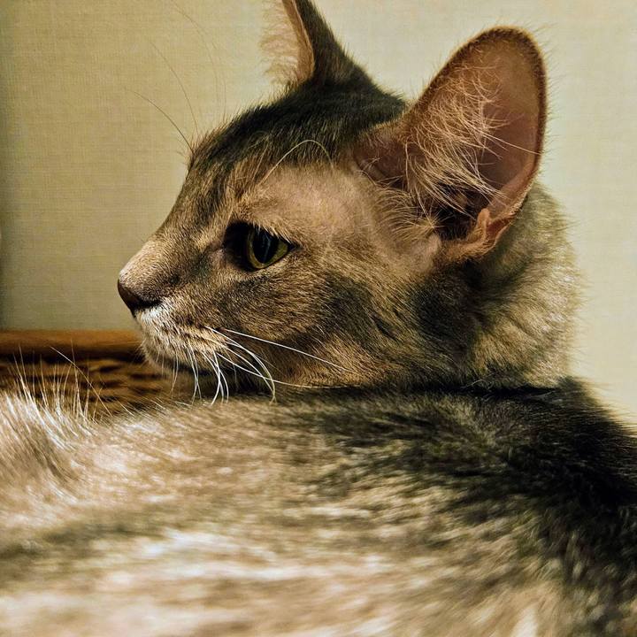 B0c05b71 c6a5 4c2f 9113 dfd5fb3dd2cf 1759813208423