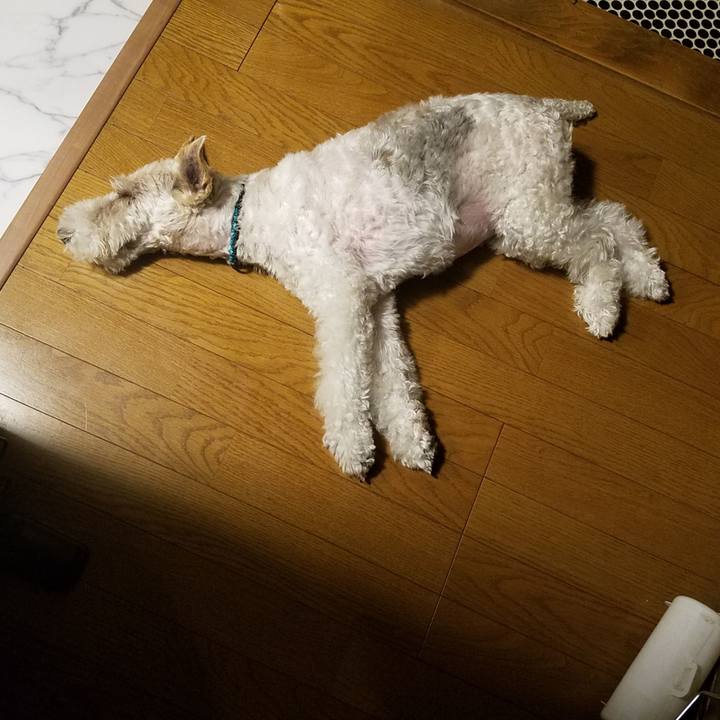 B0c0693b 3b42 4a19 8a6f 221e76d1c596 1561627623147