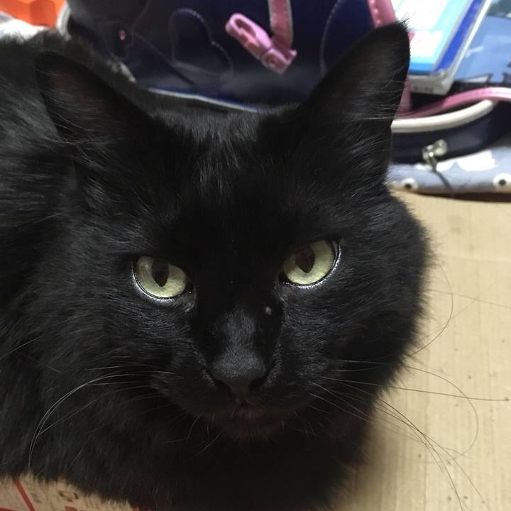 B0c06d94 0ef6 440b 951d e6cb04242332 1520332374497