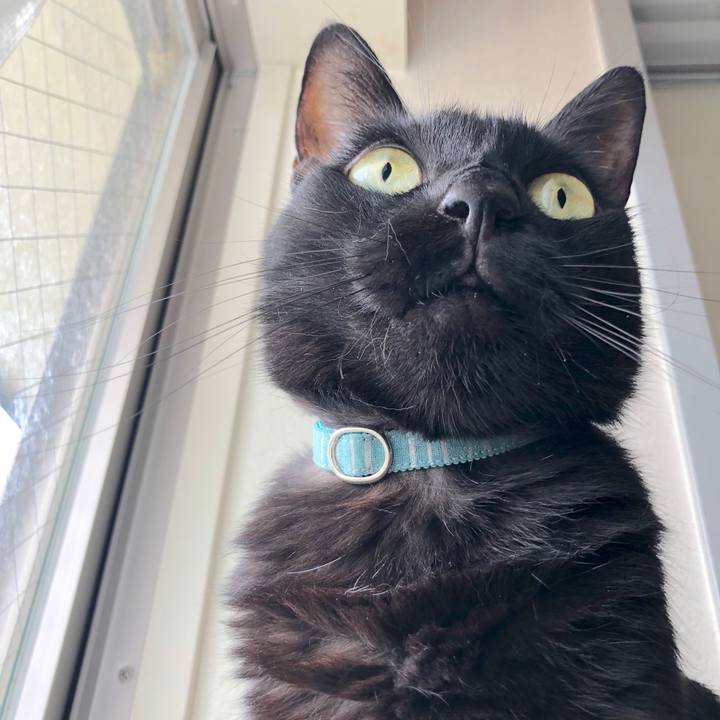 B0c0aae9 adfb 422c b549 906912e13b36 1564192155626