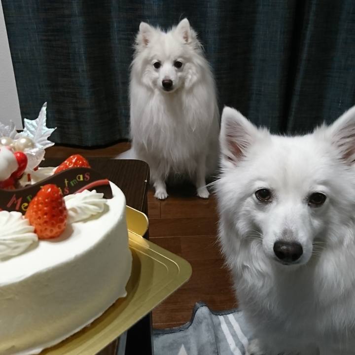 B0c0ba09 6fd0 4d7f b022 940862a2ef1f 1608900714474