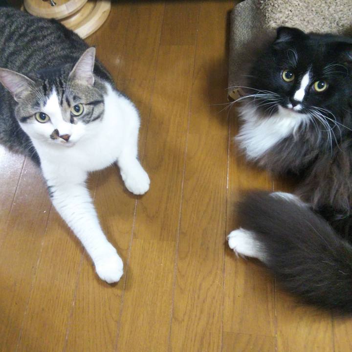 B0c0df21 e648 4a45 8847 9c6604e1e936 1662897753506