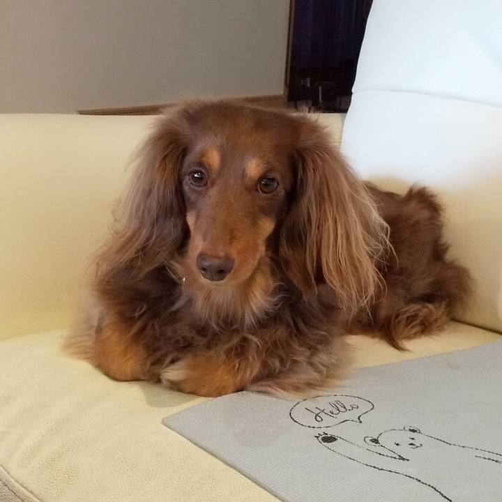 B0c0df73 92ad 49fc abda fdc439e2df84 1581741300475