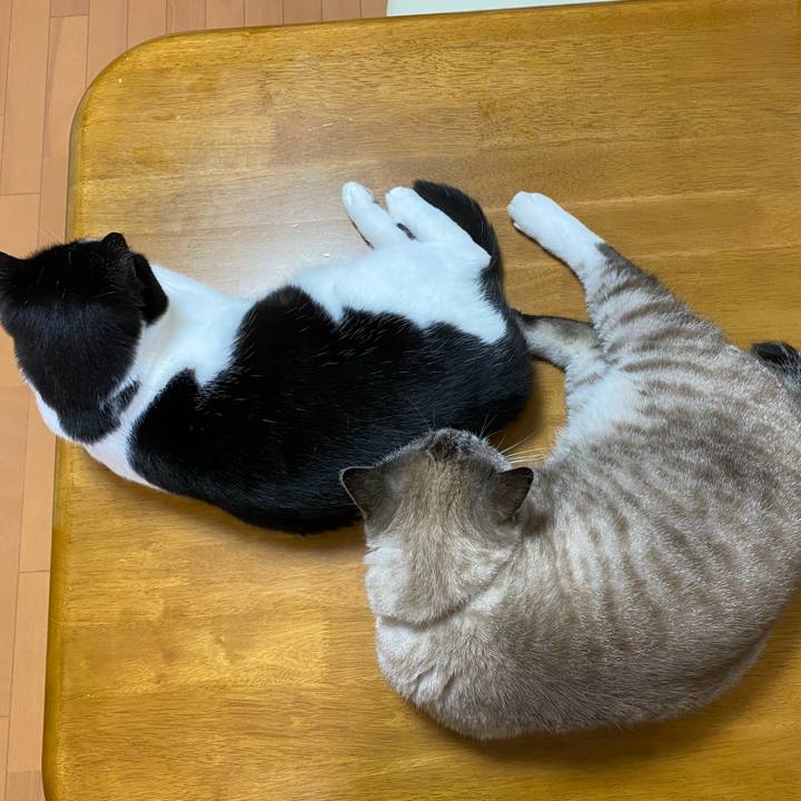 B0c0ef7d d3c7 45ee b192 7baaa6d374b2 1625797160976