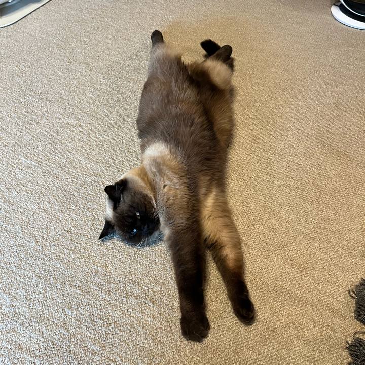 B0c1041c f7df 4c90 a050 584e719a453b 1645253220600