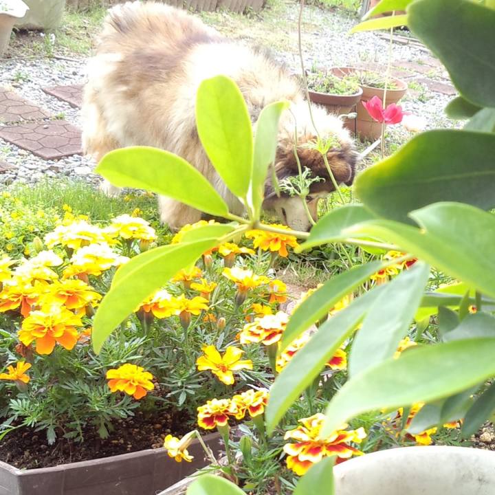 B0c107ef 900c 414a 8346 52c01ca5a8a2 1653882946022