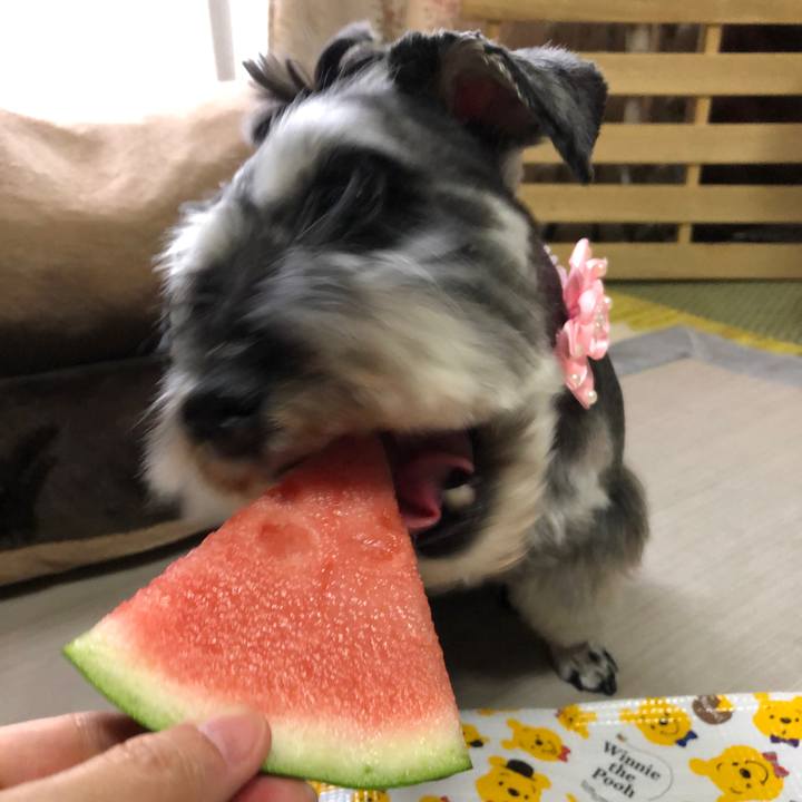 B0c11bd3 396e 40c5 a266 22d8df066183 1623763828469