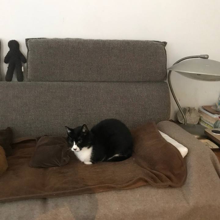 B0c12144 eb34 4c9f bff4 aa3c306c17ec 1574760284331