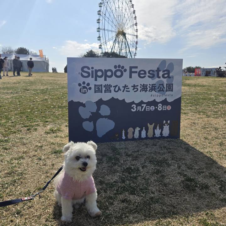 B0c18897 dadf 4cb2 8b79 4a8ace43d655 1772889736582