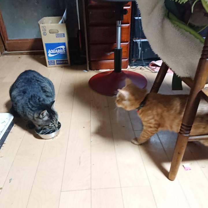 B0c19802 e0d1 4ebd 8760 c496d9f42cd4 1635626921452