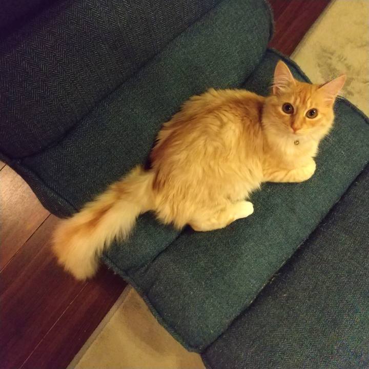 B0c1d36b a456 43c7 be22 3ddbfaf206d1 1618312000579