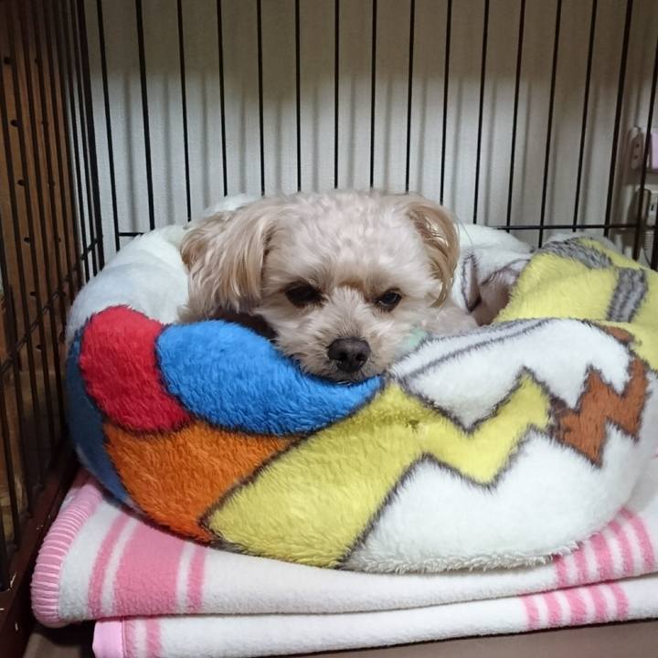 B0c1ed53 cc3b 4fb2 8b28 5527ac1f1d02 1606526965524