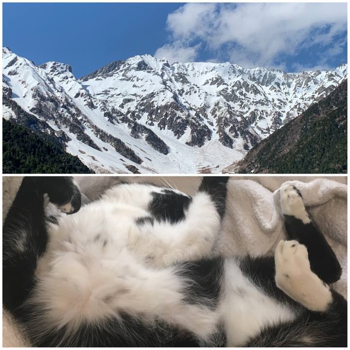 B0c1f422 b96a 4fe6 9710 4a0492240aba 1588306744275