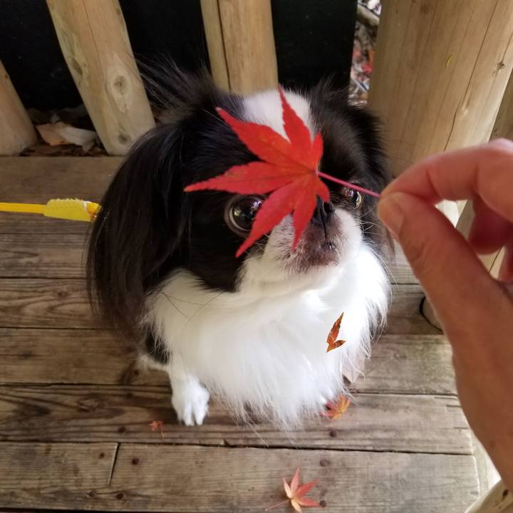 B0c2035a 0b5f 4ded b0df 8ec26c0203c0 1669200245985