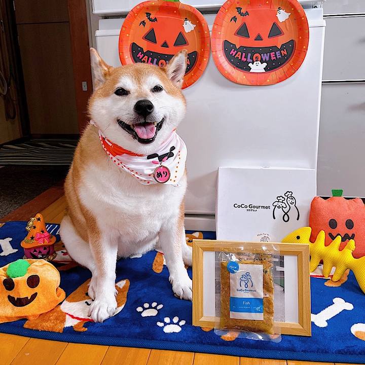 B0c20e8f 8f5d 4dd2 b5d0 0e4c2bd1b5e5 1693966956685