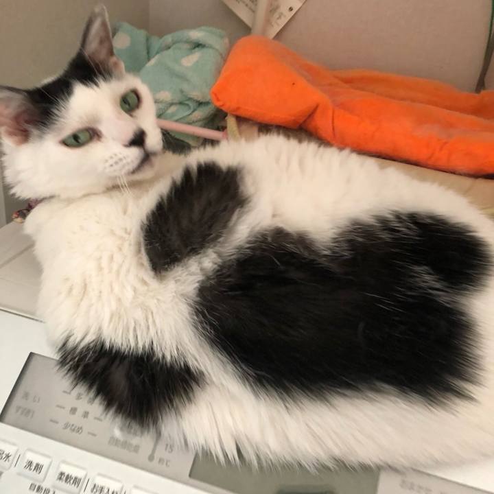 B0c231be 4366 4e6d 8ac2 a28a3c43ca8f 1726038579773