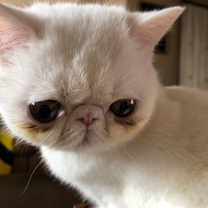 B0c23e4e 073b 49ab 8e3f 15895aaa759d 1551190616507