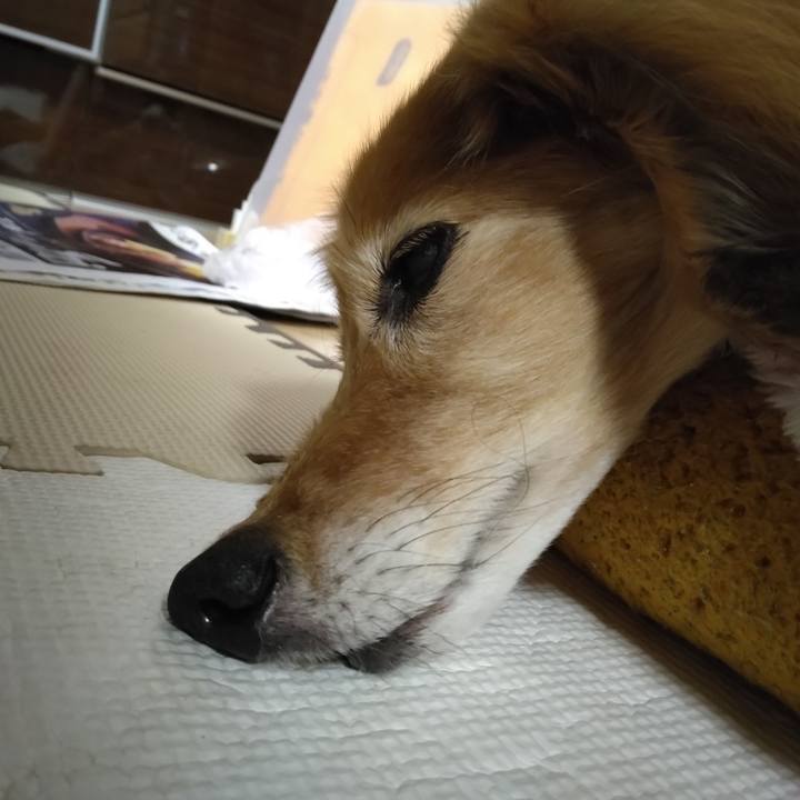 B0c24faa 78e4 4f09 9278 89f44f4b15bb 1681298586361