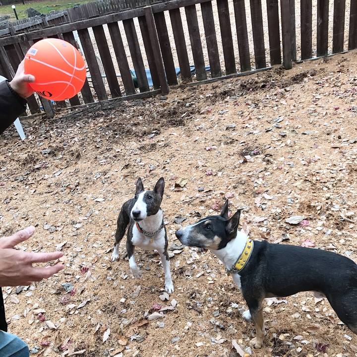 B0c264a3 c18f 49ec 9abf 9cc994fb1fb4 1510978477566