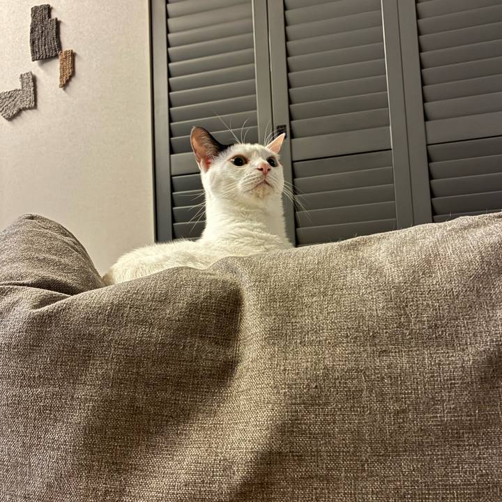 B0c26570 973f 4436 85c1 bb025b476630 1771159401294