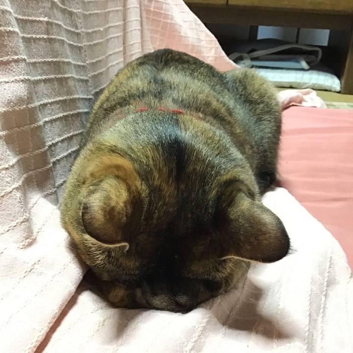 B0c27b33 daf0 411a bbf0 fc821adc8448 1640763614010