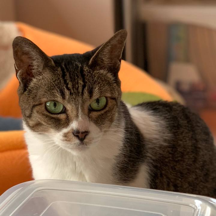 B0c27d26 c3f2 4961 804d 53627eaf6b7a 1597194224830