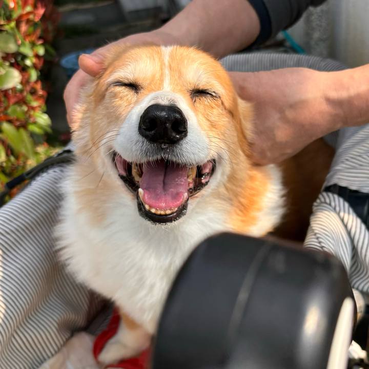 B0c2c7a5 5639 47ef 9061 19c5232943fc 1774663521973