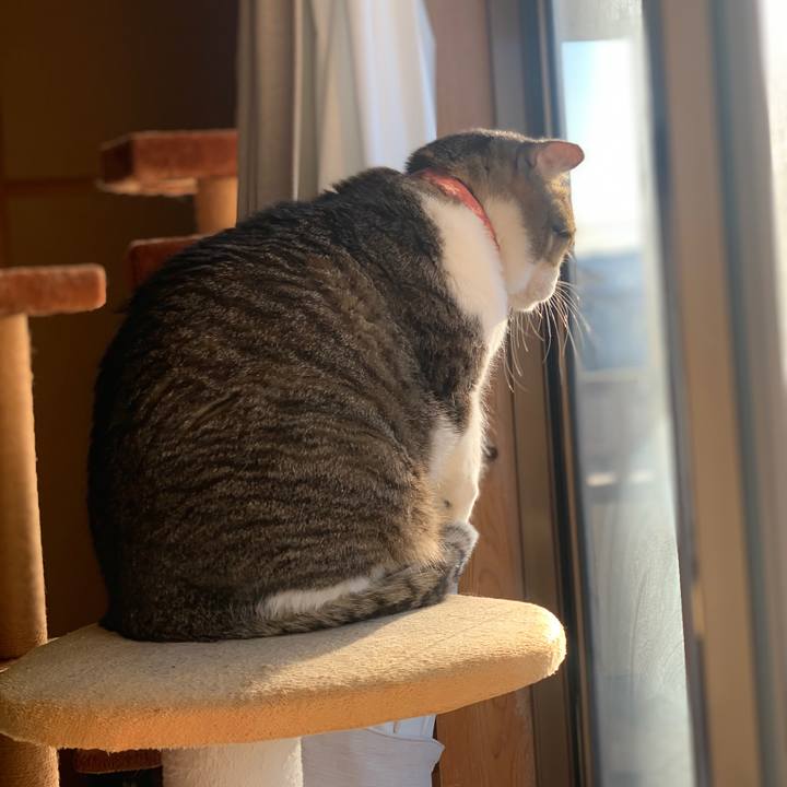 B0c2d674 9217 4e7f ab7c b51ff0dd933a 1706917486688