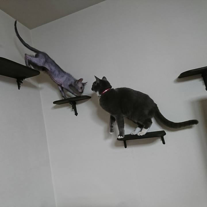 B0c2edb8 7357 48bd 9288 4596210530e1 1514333581452