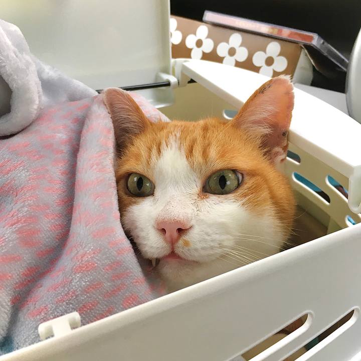 B0c31e84 8808 413e aa4e a2a1a492d2de 1612149685664