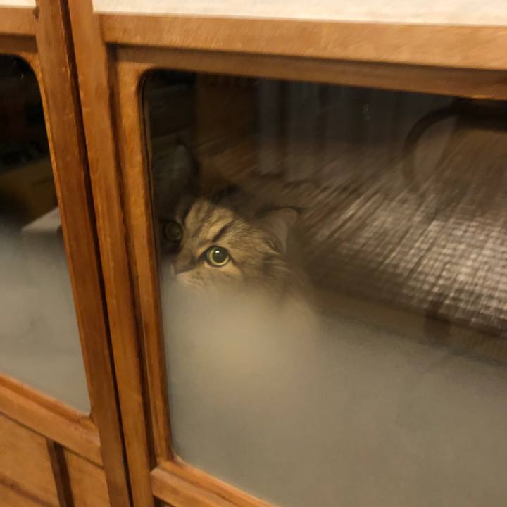 B0c3242d 1743 43f5 b74d c161c1c77069 1573462329751