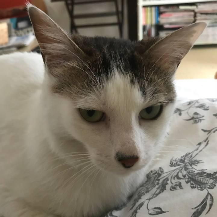 B0c32aa8 c472 4517 ba55 96c76ab56ddb 1531670056559