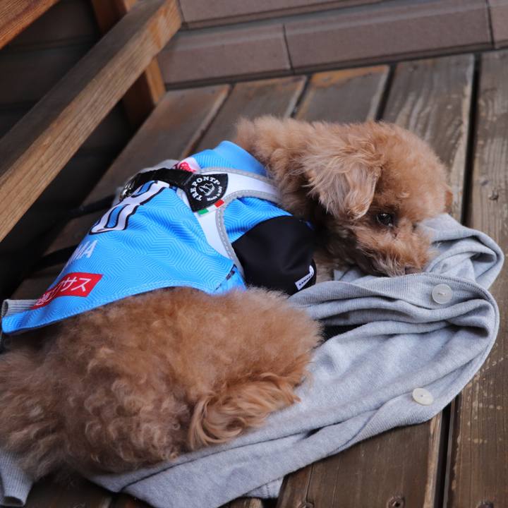 B0c34dcf 0228 4abd 95d4 19c090126ea0 1617111915832