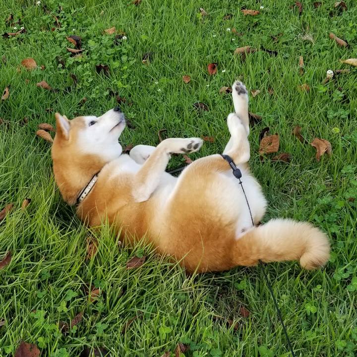 B0c34e4b 1507 40cb 9788 d69f4aea4f9e 1601543706966