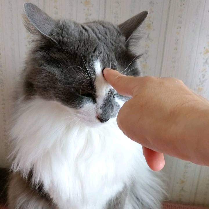 B0c380de 59c5 4e7d bd13 cc483cc95d7c 1590402032977