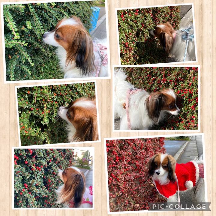 B0c3a865 25bd 4131 aede 2d20f989af80 1638878499287