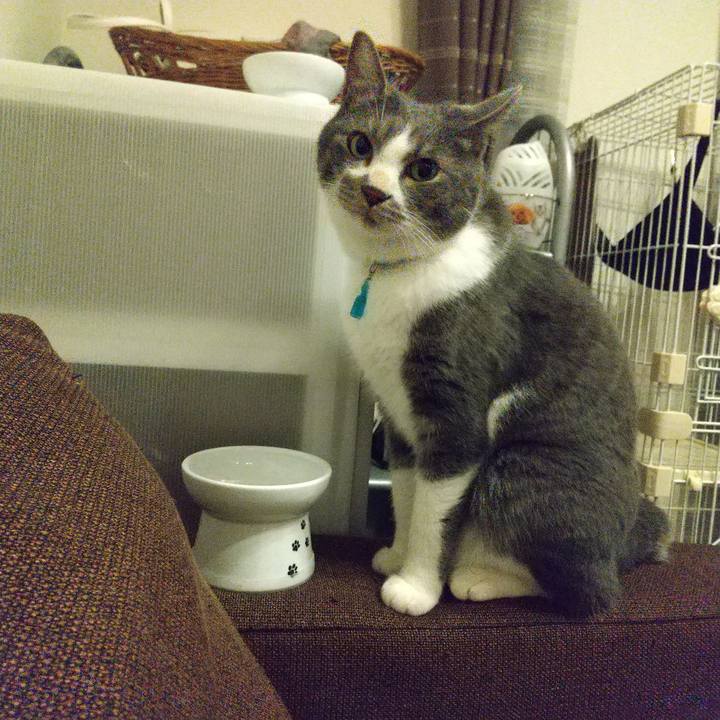 B0c3c7b8 be71 4050 bc64 079dbc48a0e6 1626522878370