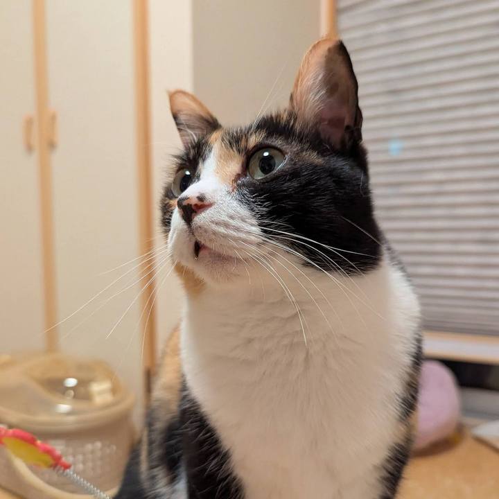 B0c3daa4 0ee0 4c75 8449 8b4dbacb7cb8 1746590056017