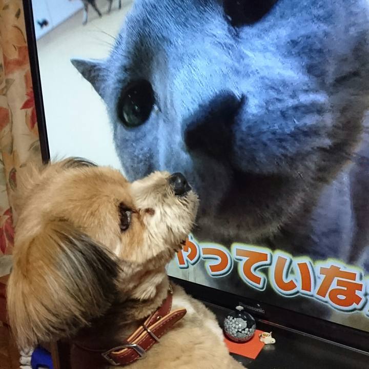 B0c42adf c072 48ab beb3 28596e3c09b8 1521801701871