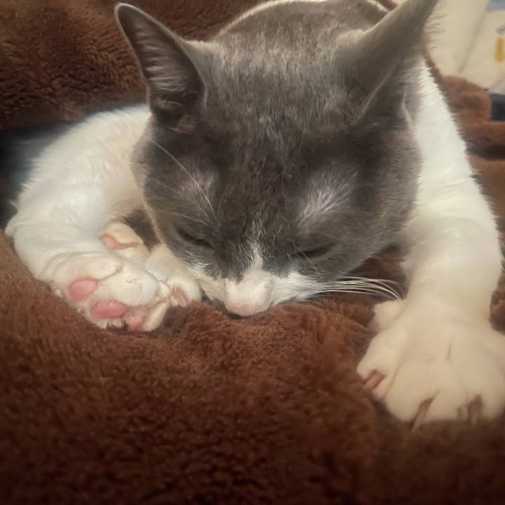 B0c42e63 fe31 49d5 8717 cb30effa7de5 1639529103565