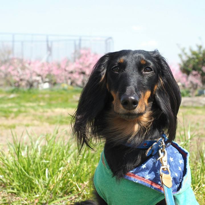 B0c46a03 305b 419e 9e97 a3742025bbb4 1522474779758