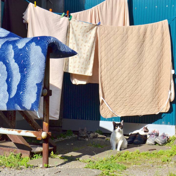 B0c4a7d3 745d 4ec5 9b84 caf807025a56 1546877108653