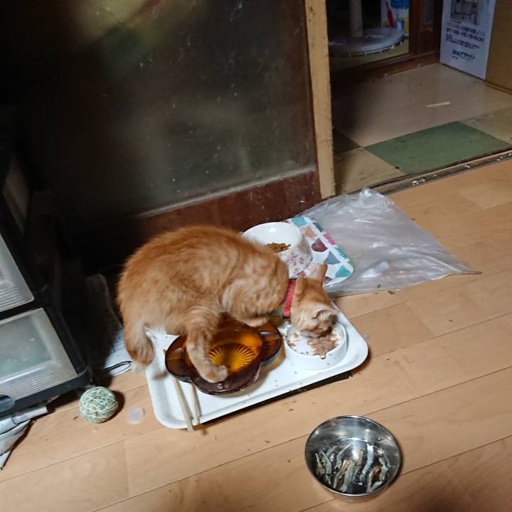 B0c4c135 5485 4472 a792 fe8a7c988ff3 1630659106068