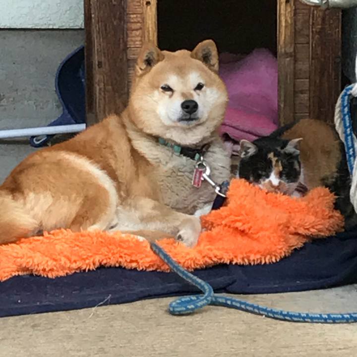 B0c4d4d6 baa2 4106 b5da 89b8e5e618ac 1514423209466