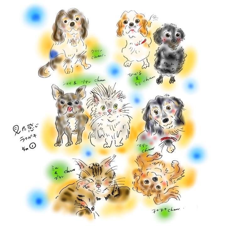 B0c4dd28 0972 4ec1 a7ac d819c9c6f710 1602869570779