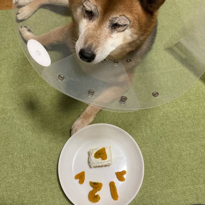 B0c4e48d b757 4f93 86f9 0e8debdc6ae0 1666438633807