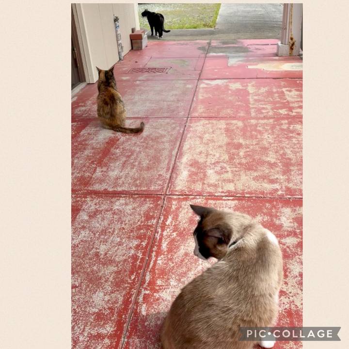 B0c5492f 72d6 4628 95a4 bf941e4db4cb 1746064681981