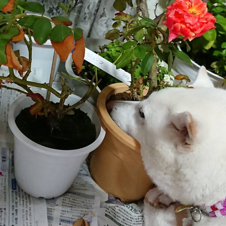 B0c55082 7e6b 4d49 b03b 8e92fbf5fadd 1570879292737